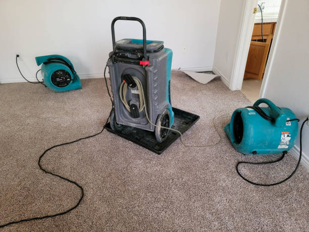 Best Carpet water damage restoration  in Park Hill, OK