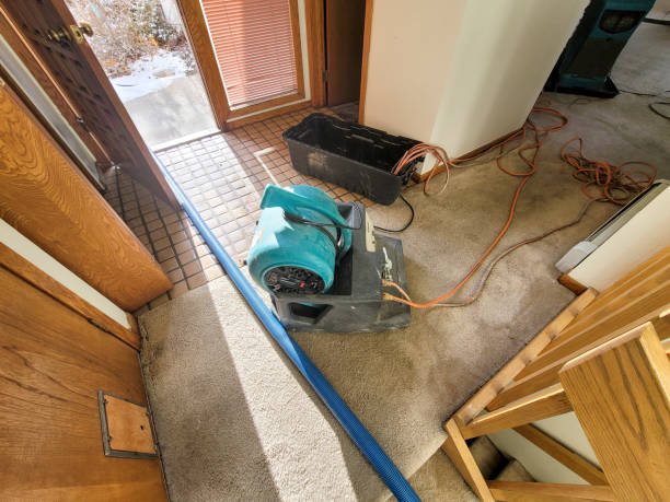 Best Mold removal after water damage  in Park Hill, OK