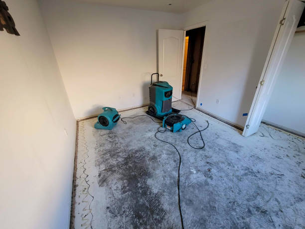Best Flood damage cleanup  in Park Hill, OK