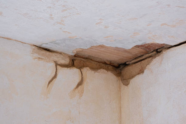 Best Flooded house restoration  in Park Hill, OK