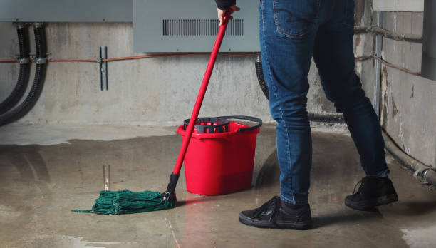 Best Ceiling water damage repair  in Park Hill, OK