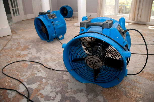 Best 24/7 water damage repair  in Park Hill, OK