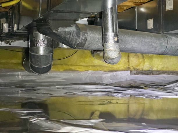 Best Basement water damage restoration  in Park Hill, OK