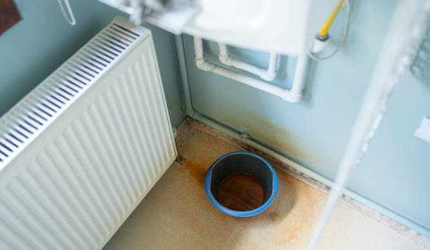 Best Professional water damage repair  in Park Hill, OK