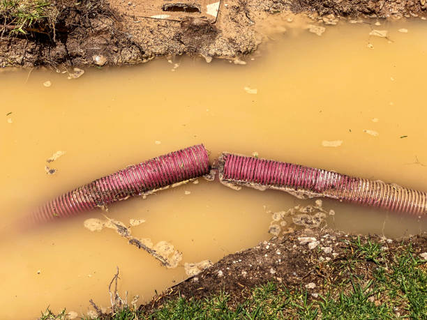 Best Water damage restoration near me  in Park Hill, OK
