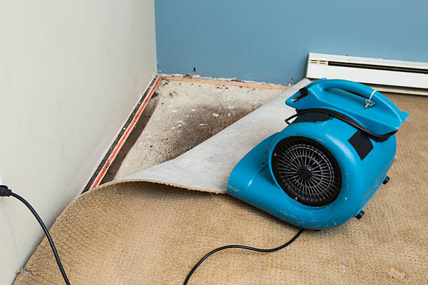 Best Flooded house restoration  in Park Hill, OK